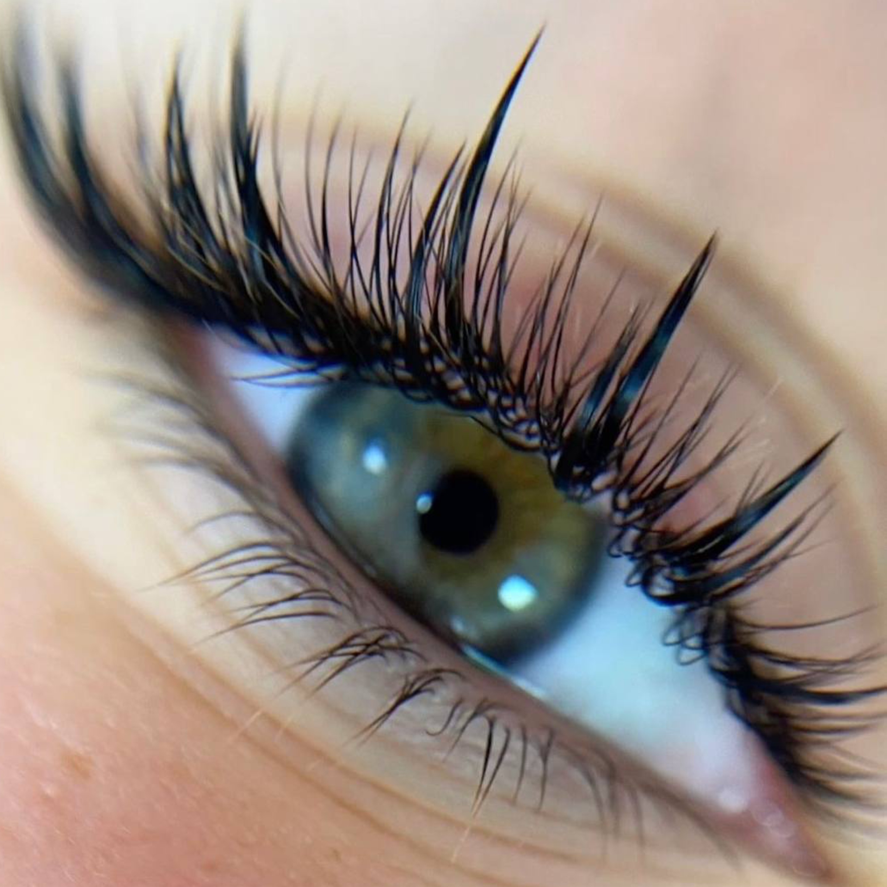 Service: Lashes – Volume Hybrid Set